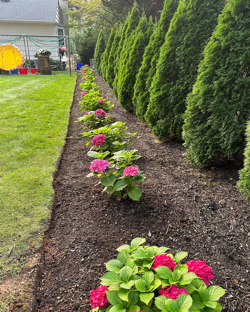 Experts-Landscaping-and-Masonry-Plainfield-NJ