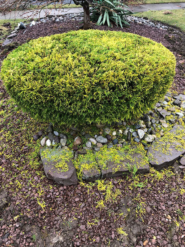 Landscaping-&-Masonry-Services-Plainfield-NJ