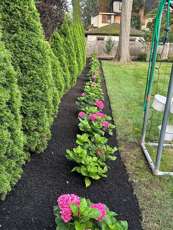 Landscaping-&-Masonry-Services-Plainfield-NJ - 5