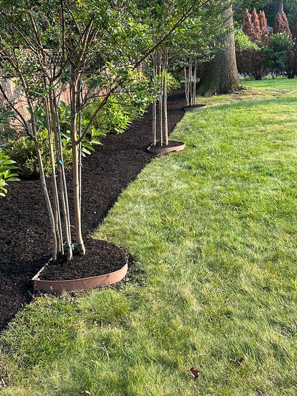 Landscaping-&-Masonry-Services-Plainfield-NJ-6