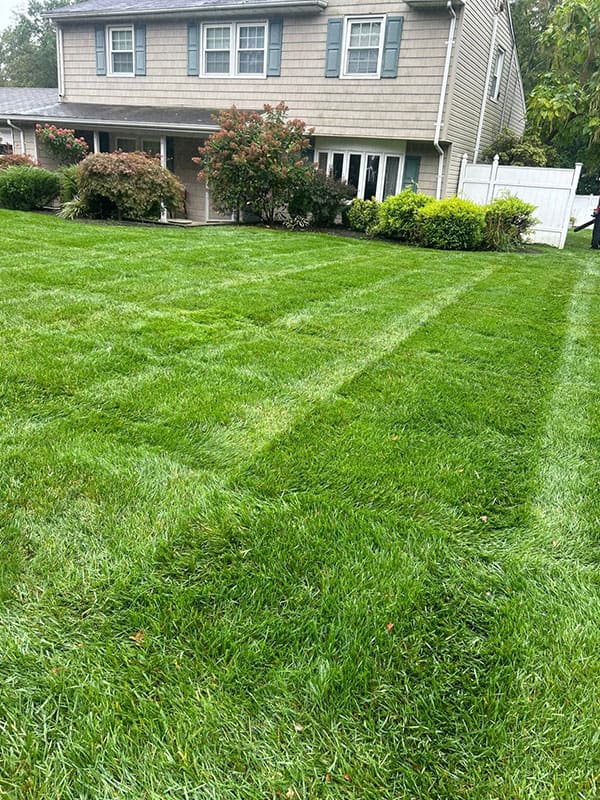 Landscaping-&-Masonry-Services-Plainfield-NJ-7